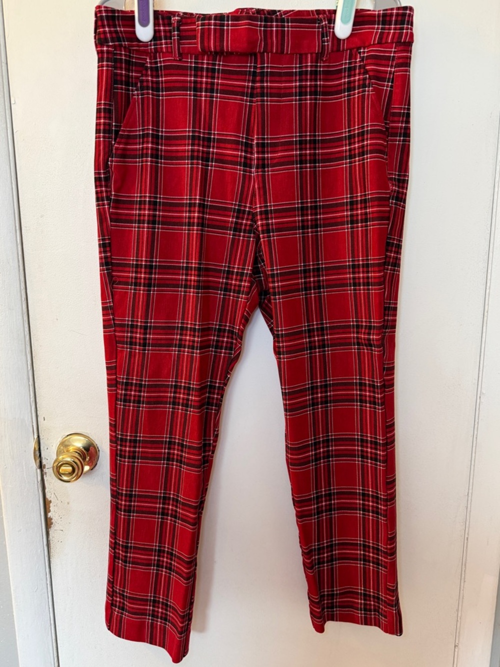 Torrid Studio High-Rise Ponte Trouser Pant